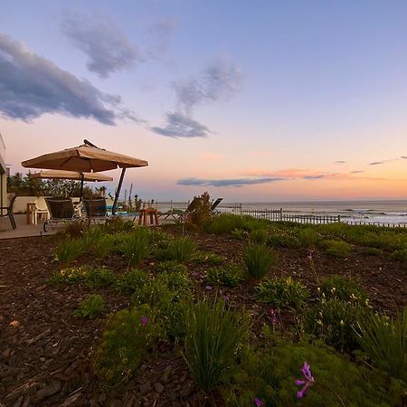 The Ocean View Guest House Wildernis Exteriér fotografie